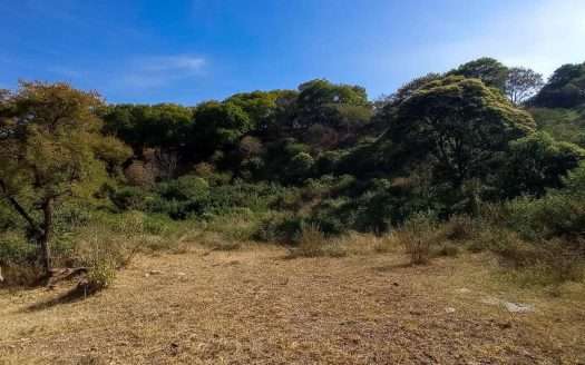 VENTA LOTE DE UNA HECTÁREA EN SAN MIGUEL CUYUTLÁN, TLAJOMULCO