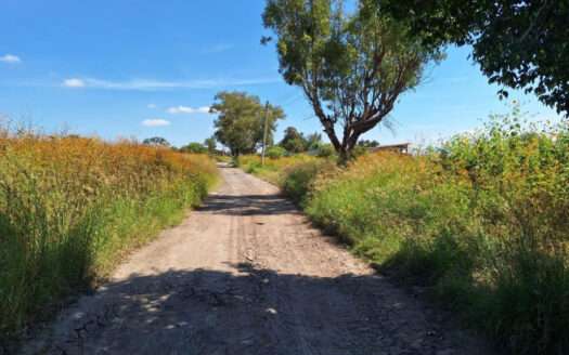 VENTA TERRENO CARRETERA A CHAPALA EN EL CHAPULIN, JALISCO