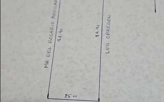 VENTA TERRENO CARRETERA A CHAPALA EN EL CHAPULIN, JALISCO