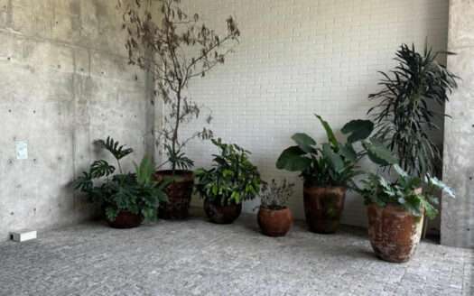 VENTA DEPARTAMENTO NUEVO EN LA MINERVA, ARCOS VALLARTA, GUADALAJARA