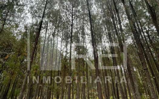 TERRENO EN VENTA SIERRA MAZATI TAPALPA