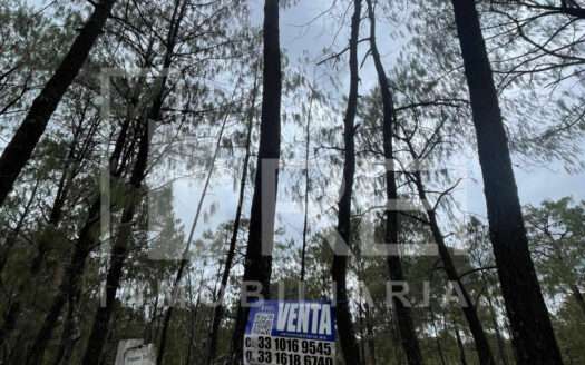 TERRENO EN VENTA SIERRA MAZATI TAPALPA