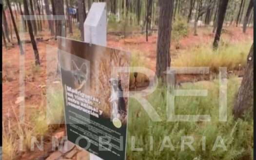 TERRENO EN VENTA SIERRA MAZATI TAPALPA