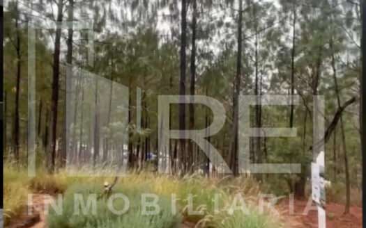 TERRENO EN VENTA SIERRA MAZATI TAPALPA