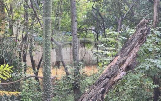 VENTA TERRENO ZONA CENTRO ZAPOPAN