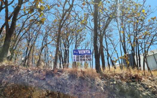 VENTA TERRENO BUGAMBILIAS ZAPOPAN