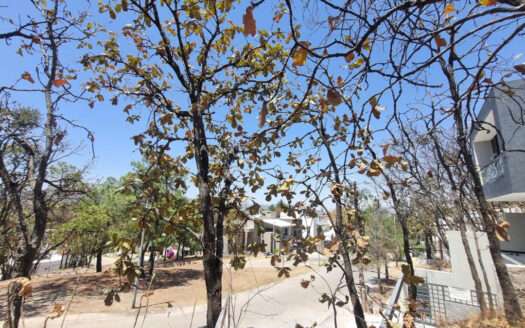 VENTA TERRENO BUGAMBILIAS ZAPOPAN