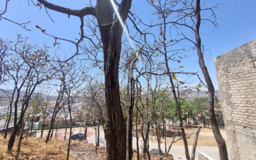 VENTA TERRENO BUGAMBILIAS ZAPOPAN