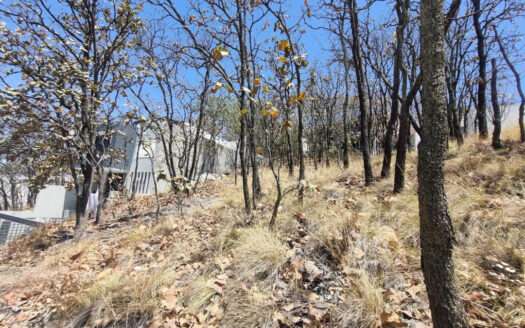 VENTA TERRENO BUGAMBILIAS ZAPOPAN