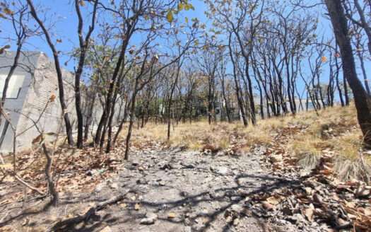 VENTA TERRENO BUGAMBILIAS ZAPOPAN