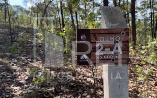 VENTA TERRENO EN SIERRA MAZATI TAPALPA