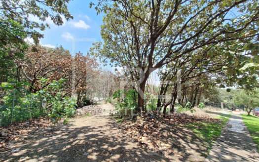 VENTA TERRENO EN EL PALOMAR TLAJOMULCO