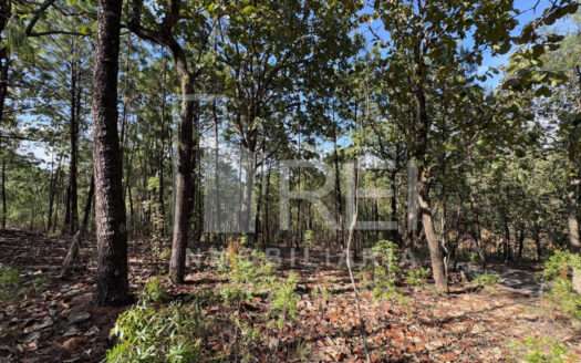 VENTA TERRENO EN SIERRA MAZATI TAPALPA
