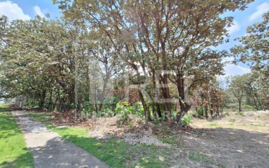 VENTA TERRENO EN EL PALOMAR TLAJOMULCO