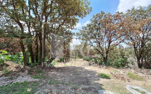 VENTA TERRENO EN EL PALOMAR TLAJOMULCO