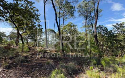 VENTA TERRENO EN SIERRA MAZATI TAPALPA