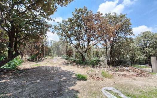 VENTA TERRENO EN EL PALOMAR TLAJOMULCO