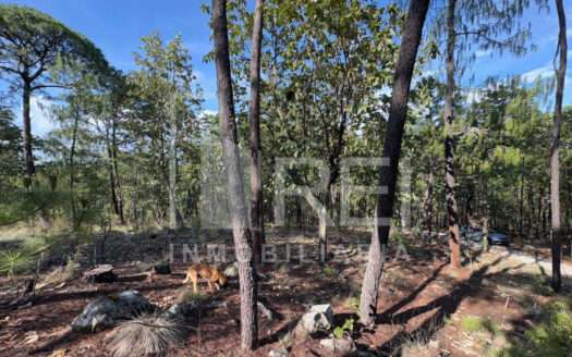 VENTA TERRENO EN SIERRA MAZATI TAPALPA