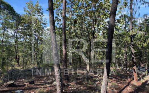 VENTA TERRENO EN SIERRA MAZATI TAPALPA