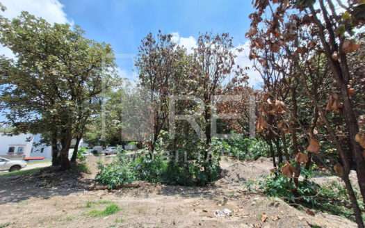 VENTA TERRENO EN EL PALOMAR TLAJOMULCO