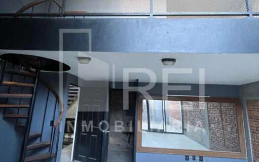 RENTA LOCAL PROVIDENCIA GUADALAJARA