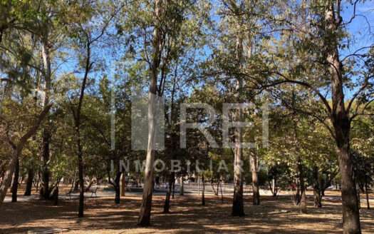 VENTA DEPARTAMENTO JARDINES DEL BOSQUE GUADALAJARA