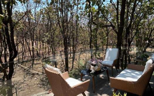 RENTA EN BOSQUES DE BUGAMBILIAS ZAPOPAN