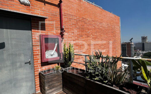 RENTA DEPARTAMENTO COLONIA AMERICANA GUADALAJARA