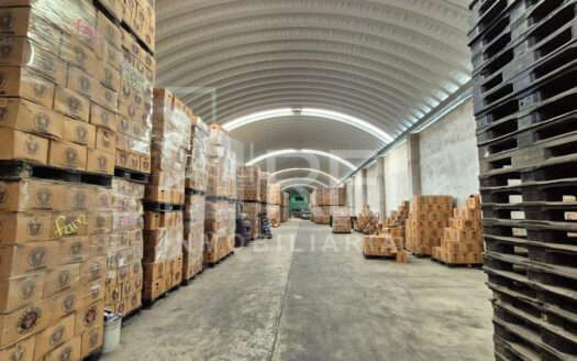 VENTA BODEGA NUEVA ZONA PARQUE SOLIDARIDAD COL. INSURGENTES GUADALAJARA