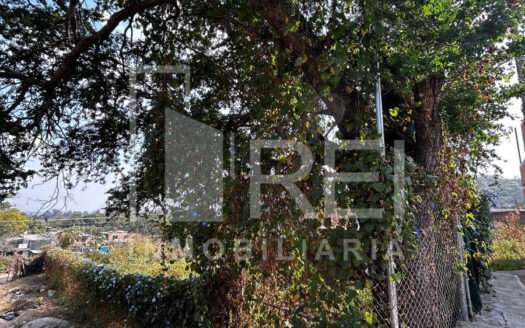 TERRENO EN VENTA TLAJOMULCO CENTRO