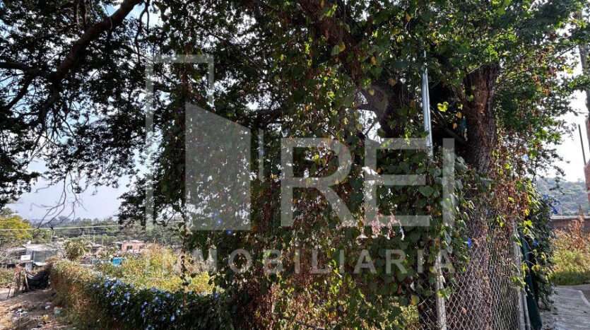 TERRENO EN VENTA TLAJOMULCO CENTRO