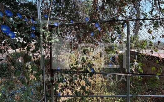 TERRENO EN VENTA TLAJOMULCO CENTRO