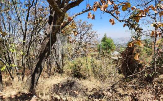TERRENO EN VENTA EL PALOMAR TLAJOMULCO