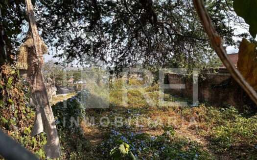 TERRENO EN VENTA TLAJOMULCO CENTRO