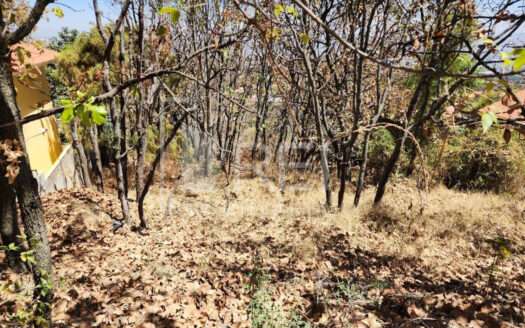 TERRENO EN VENTA EL PALOMAR TLAJOMULCO