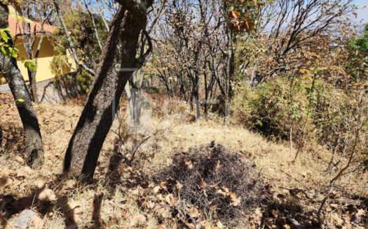 TERRENO EN VENTA EL PALOMAR TLAJOMULCO