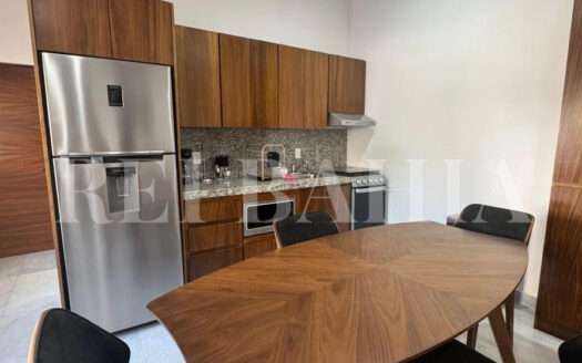 DEPARTAMENTO AMUEBLADO EN RENTA CENTRO DE PUERTO VALLARTA