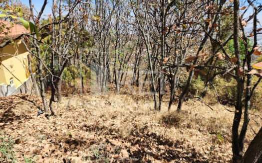 TERRENO EN VENTA EL PALOMAR TLAJOMULCO