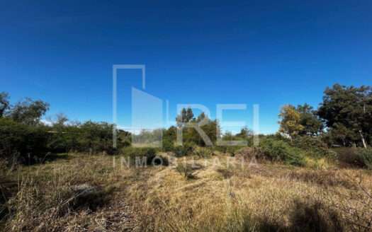 TERRENO INDUSTRIAL EN VENTA A PIE DE CARRETERA ACATLAN DE JUAREZ – CIUDAD GUZMAN