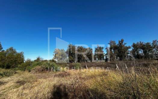 TERRENO INDUSTRIAL EN VENTA A PIE DE CARRETERA ACATLAN DE JUAREZ – CIUDAD GUZMAN