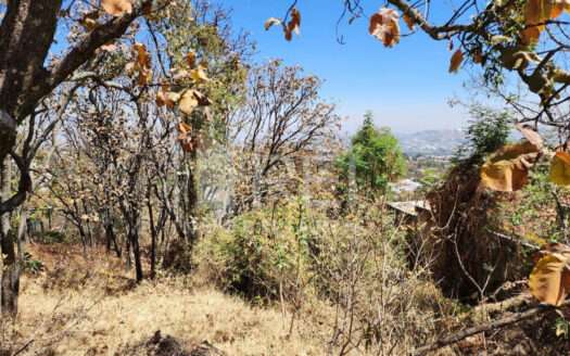 TERRENO EN VENTA EL PALOMAR TLAJOMULCO