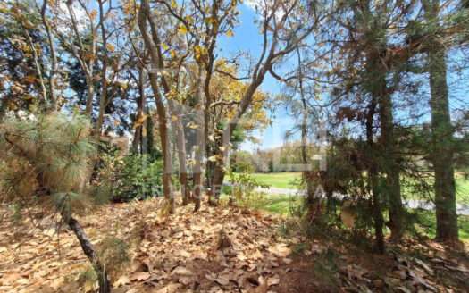 TERRENO EN VENTA EL CIELO COUNTRY CLUB TLAJOMULCO