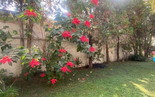 VENTA DEPARTAMENTO EN LOS PINOS CAMPESTRE ZAPOPAN