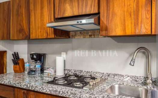 CASA AMUEBLADA EN RENTA TERRALTA II BUCERIAS