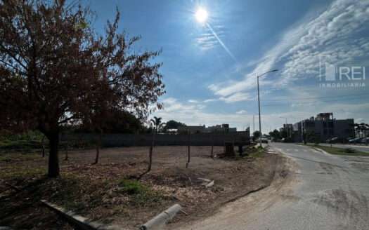 TERRENO EN RENTA SAN AGUSTIN TLAJOMULCO