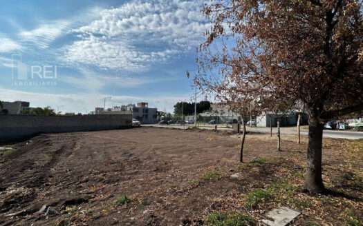 TERRENO EN RENTA SAN AGUSTIN TLAJOMULCO