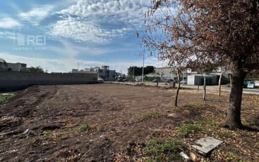 TERRENO EN RENTA SAN AGUSTIN TLAJOMULCO