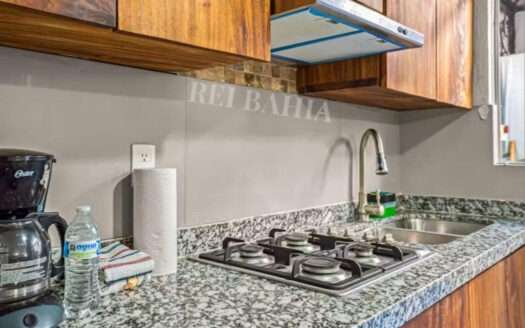 CASA AMUEBLADA EN RENTA TERRALTA II BUCERIAS