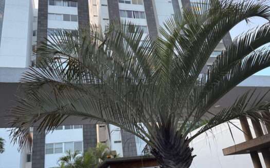 DEPARTAMENTO EN RENTA LOMAS ALTAS ZAPOPAN