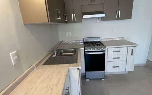 DEPARTAMENTO PLANTA BAJA EN RENTA CAMINO REAL ZAPOPAN